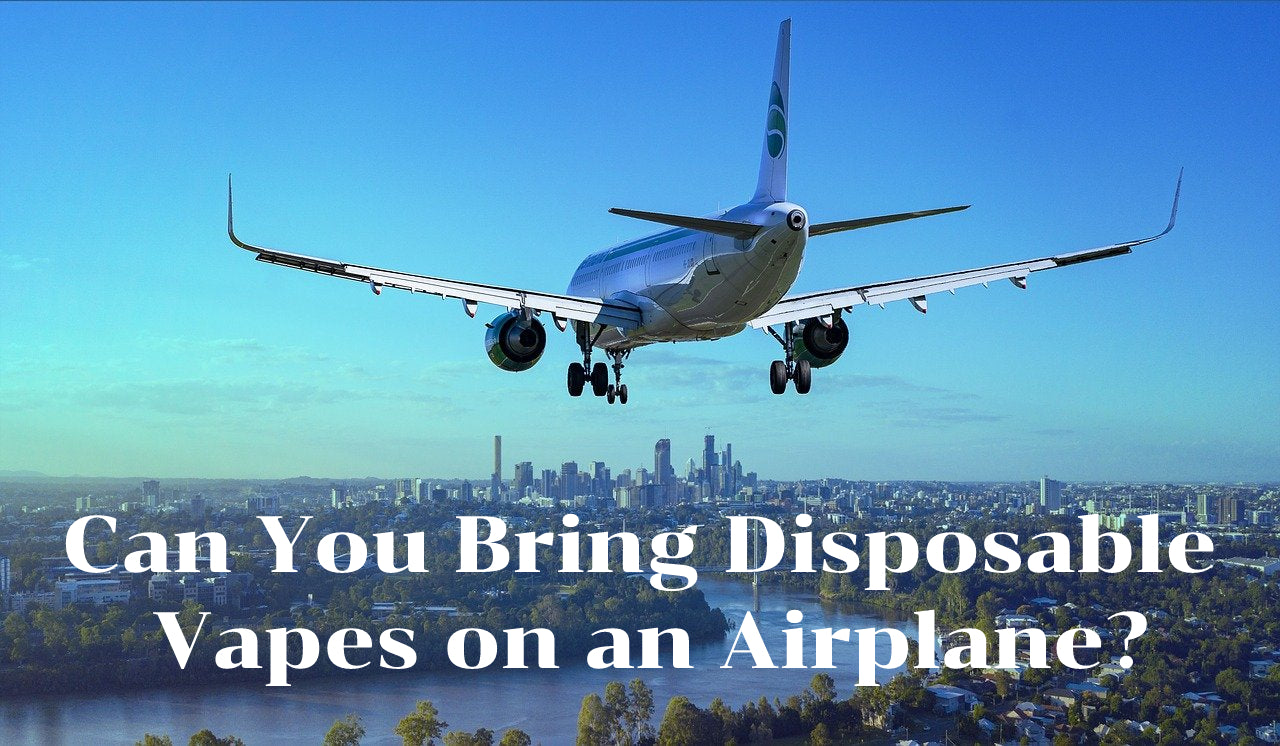 Can You Bring Disposable Vapes on an Airplane in the US? Eightvape