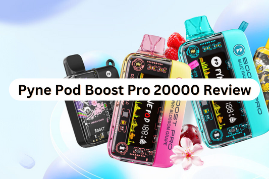 Pyne Pod Boost Pro 20000 Review: 2024 Latest Review