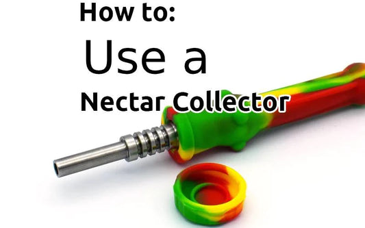 How to Use a Nectar Collector: Best Guide