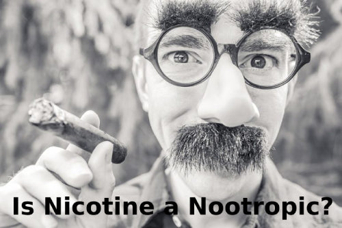 Is Nicotine a Nootropic?