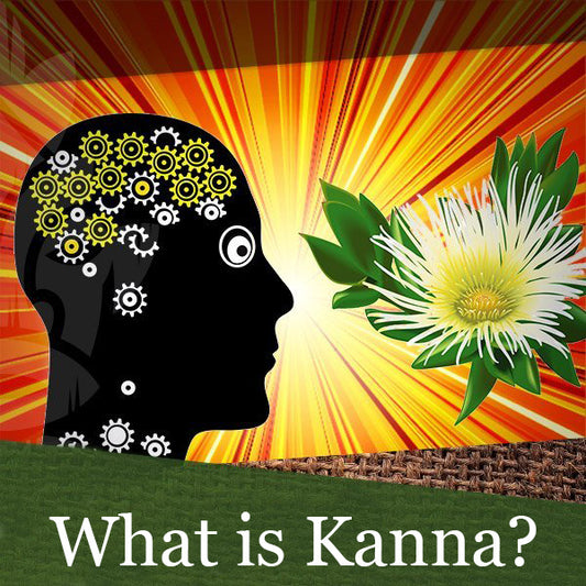 What is Kanna?