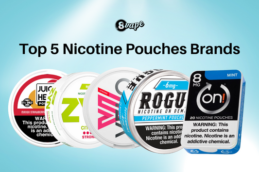 top 5 Nicotine Pouches brands