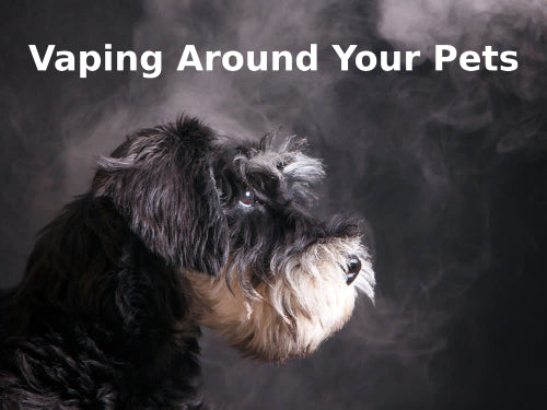 Vaping Around Your Pets