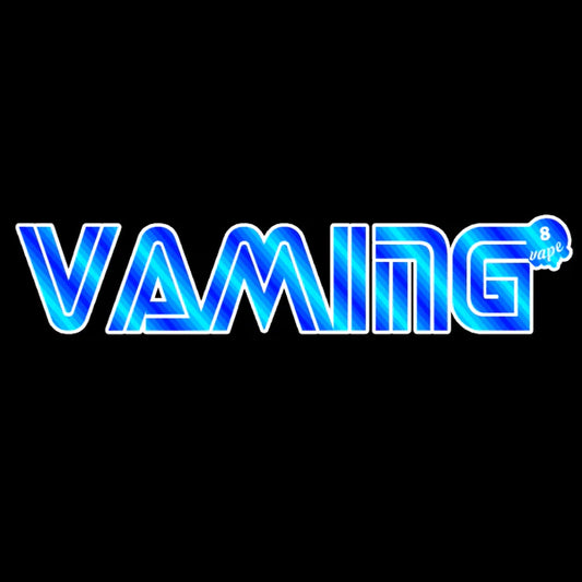 Vaming: A National Video Games Day Celebration
