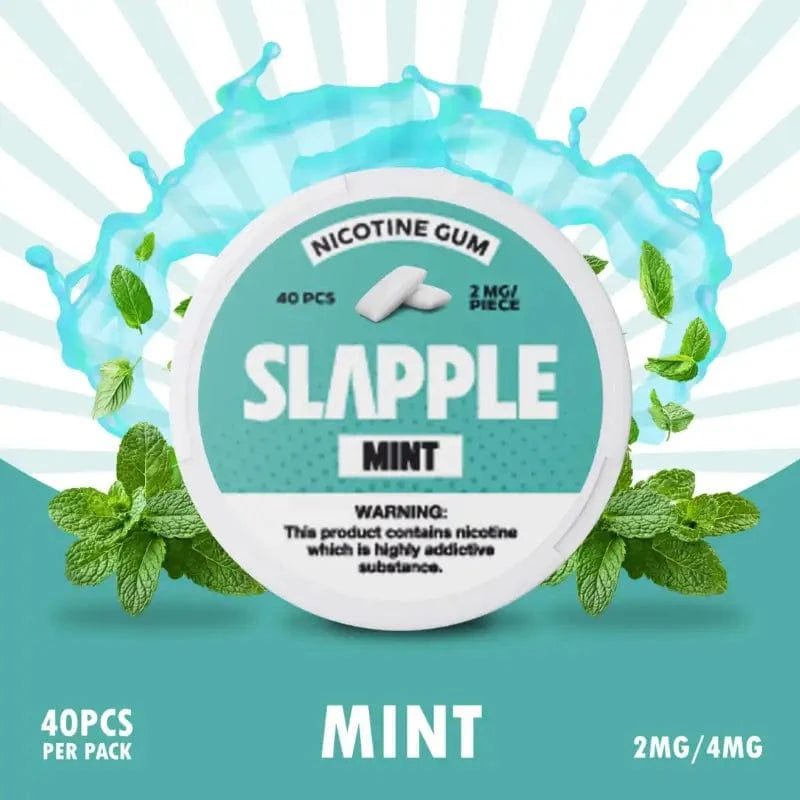 Cloud Nurdz Nicotine Pouch 2mg / Mint Slapple Nicotine Gum