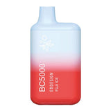 E.B. Designs Disposable Vape Fuji Ice EB Design BC5000 Disposable Vape (4%, 5000 Puffs)