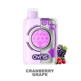 OVNS Cranberry Grape 🎁 OVNS Puff Geek Truth Puff Disposable Vape Kit (5%, 18.5ml) (Discount)