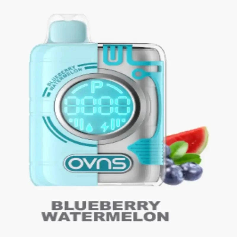 OVNS Disposable Vape Blueberry Watermelon OVNS Puff Geek Truth Puff Disposable Vape Kit(5%)