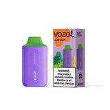 VOZOL Disposable Vape Aloe Grape VOZOL Star 6000 Disposable Vape (5%, 6000 Puffs)
