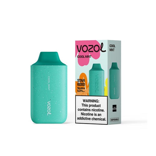 VOZOL Disposable Vape Cool Mint VOZOL Star 6000 Disposable Vape (5%, 6000 Puffs)